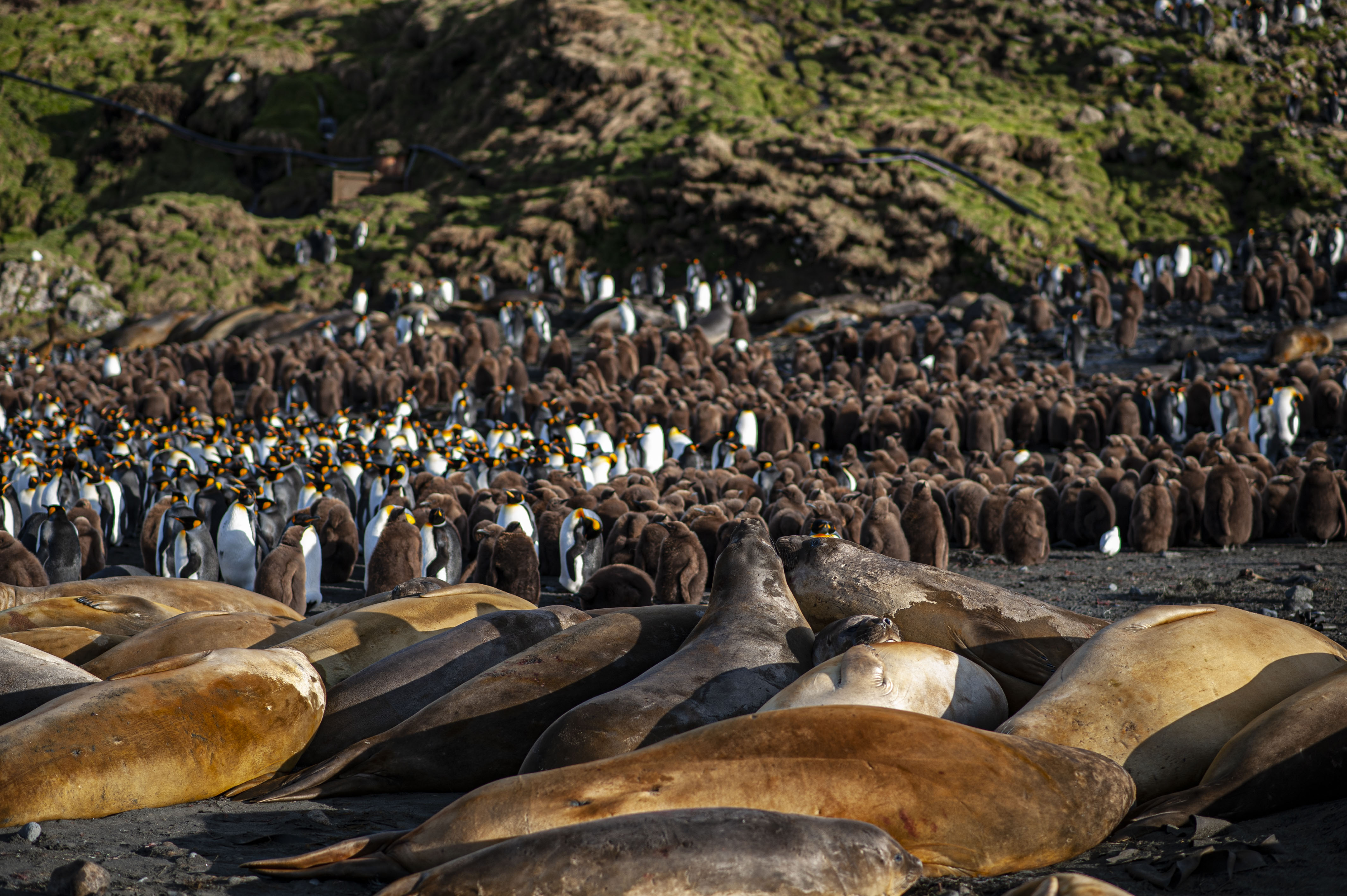 GYT 20220701 135352  DSC6282